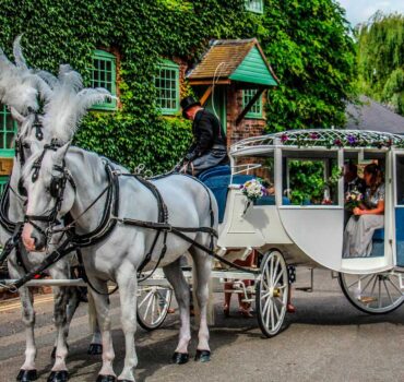 Horse Drawn Carriage